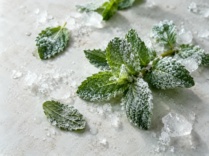 Frozen Mint flavor inspiration