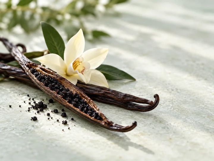 Vanilla flavor inspiration